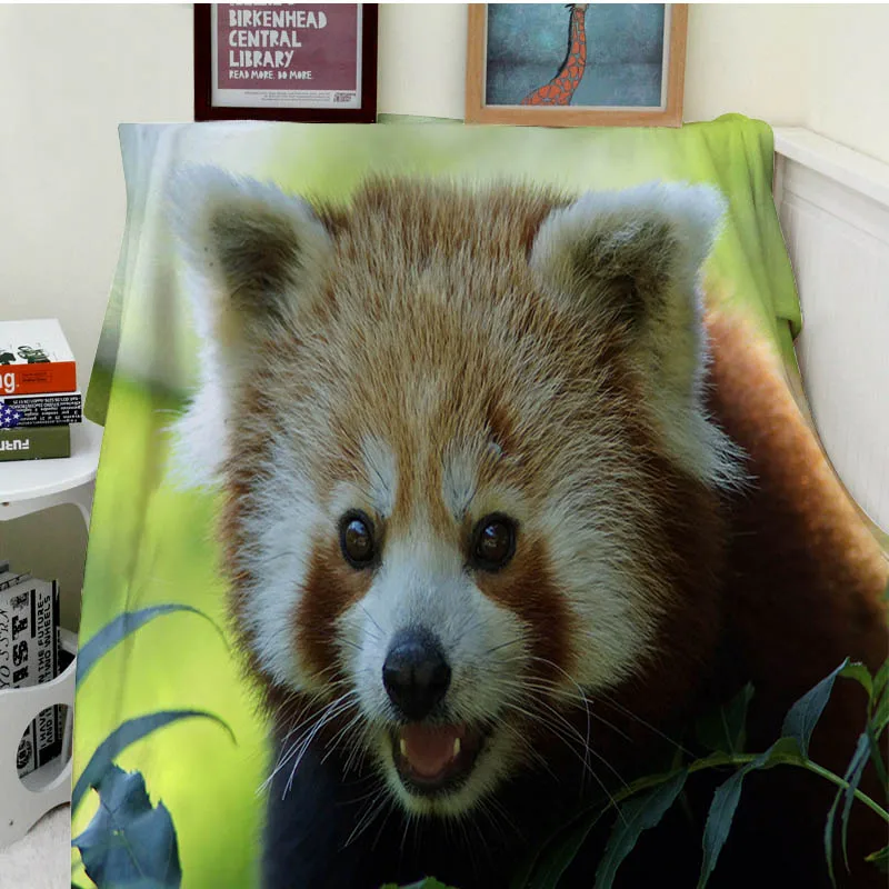 Blankets Comfort Soft Plush Easy Care Machine Wash Funny Cute Smile