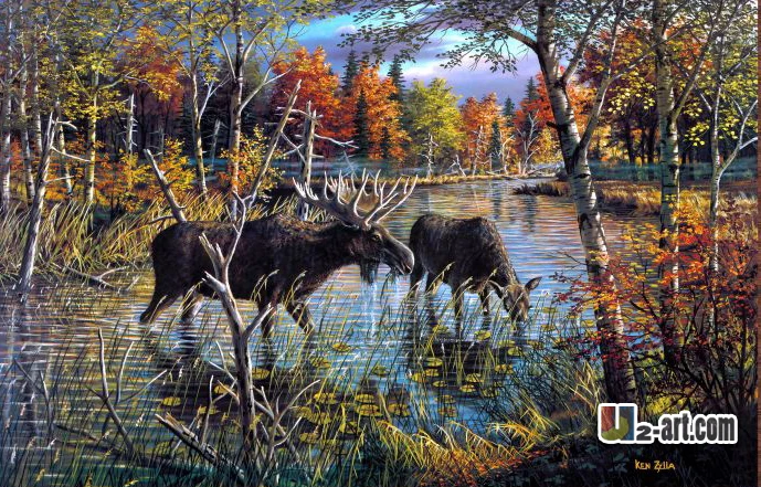 Online Buy Wholesale wildlife art prints from China 