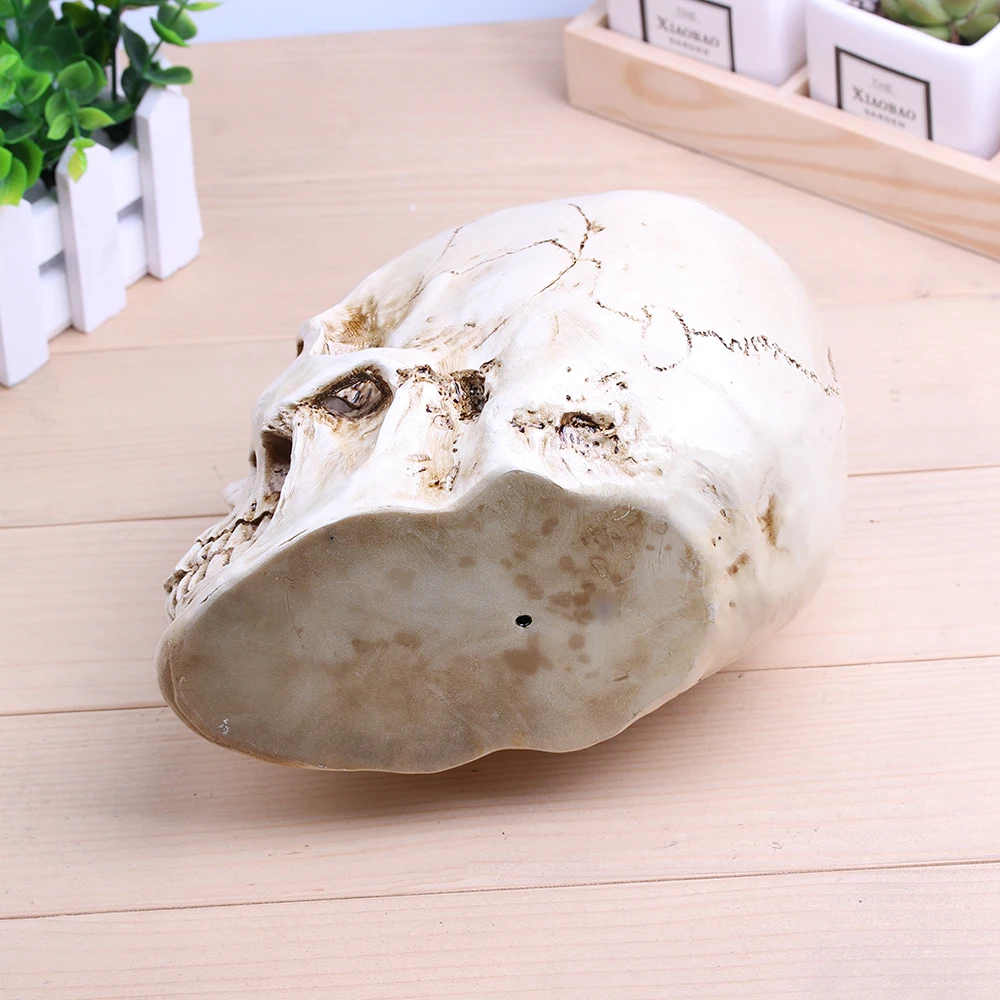 Halloween Decoration SKULL Sculpture Handmade carving Crafts 11 * 19 CM Medical Painting Model Home Ornaments|Статуи и скульптуры| |
