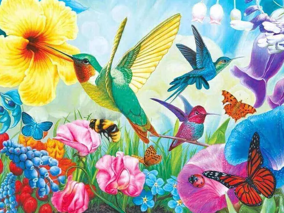 hummingbird_1024x1024@2x