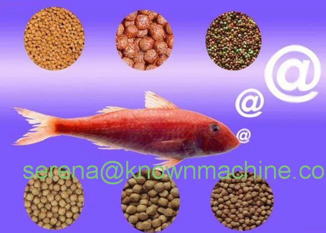 fish feed extruder machine22