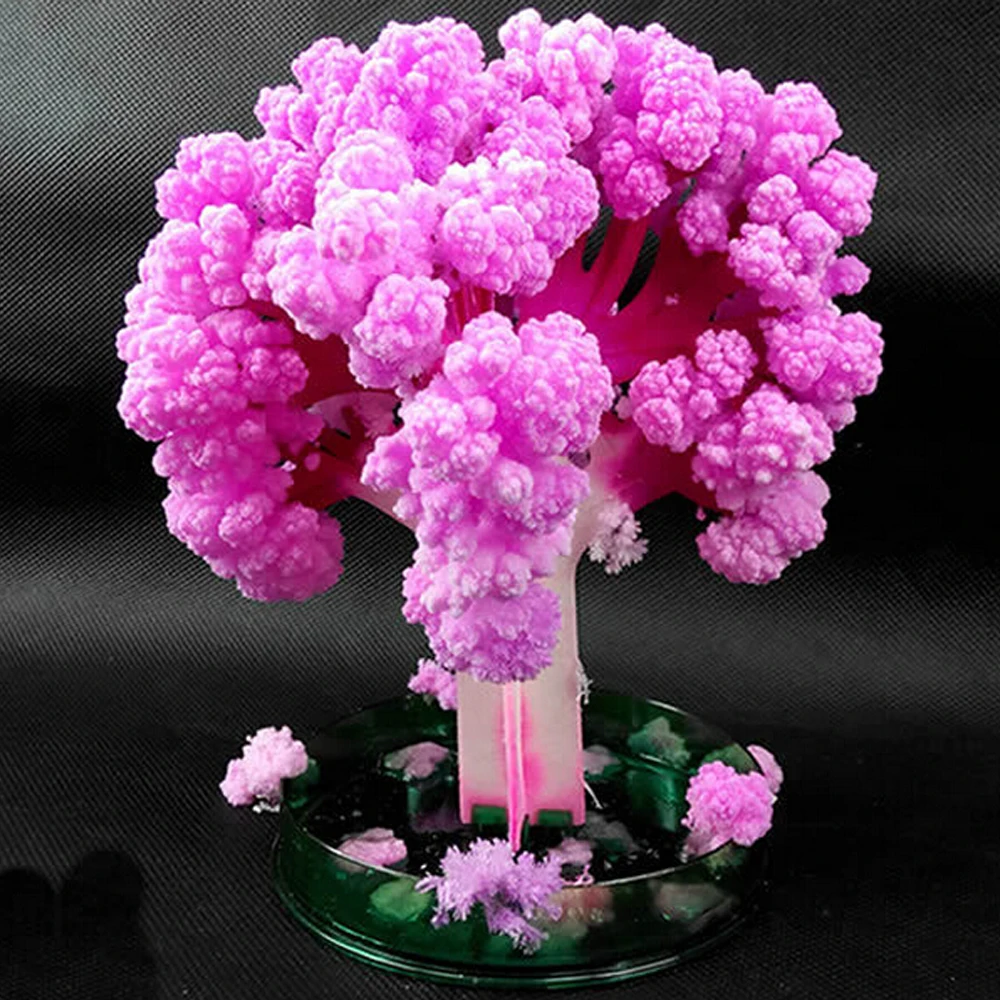 

2019 14Hx11Wcm Visual Japan Pink Big Magic Paper Japanese Sakura Tree Growing Trees Kit Desktop Cherry Blossom Kids Toys Novelty