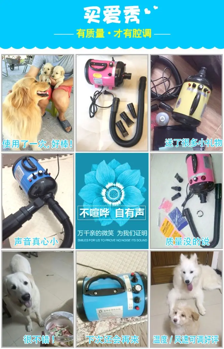 Pet Water Blowing Machine Large Dog Dog Hair Dryer High Power Mute Noise Reduction Special Dryer Blowing Long Hair Pet Dryer