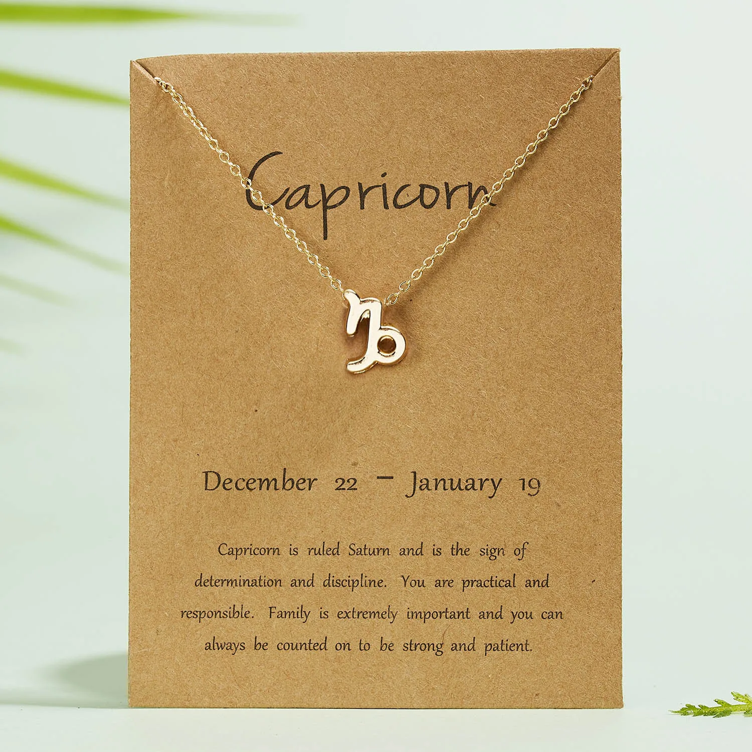 Rinhoo 12 Constellation Necklace Zodiac Sign necklace with Card Pendant Necklace charm Message Card Birthday Gift for Women Girl