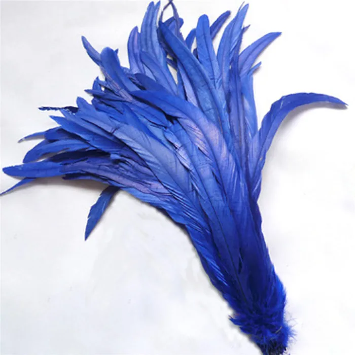 6 blue chicken feather