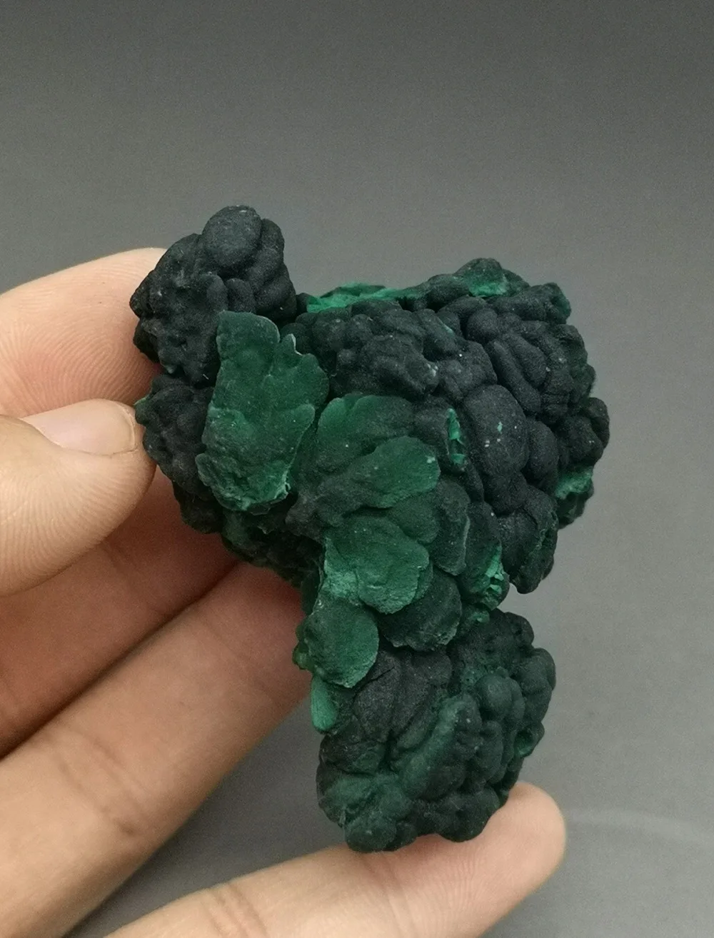 

118g Natural rare malachite mineral specimen green stone crystal teaching specimen collection from China