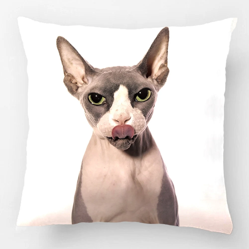 Sphynx кошка с языком Свадебный Декоративный чехол для подушки наволочка