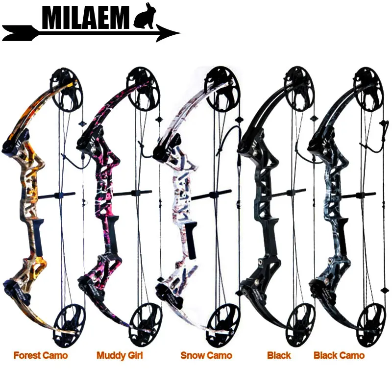 

1Set Archery M1 Compound Bow 19-70 lbs Right Hand IBO320FPS CNC Milling Bow Riser BCY Bow String Outdoor Shooting Accessories