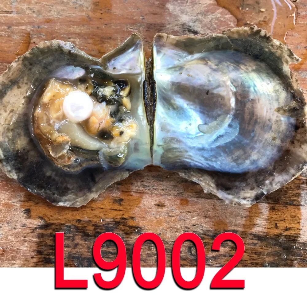 L9002 AA