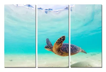 

Seascape Canvas Print Wall Art Set - Sea Turtle Swimming Underwater Through the Bright Blue Ocean Framed Drop shipping