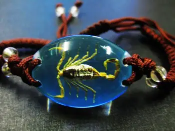 

FREE SHIPPING 5 PCS Real Scorpion Specimens Blue Color Bangle Fashion Mix Rope Bracelets