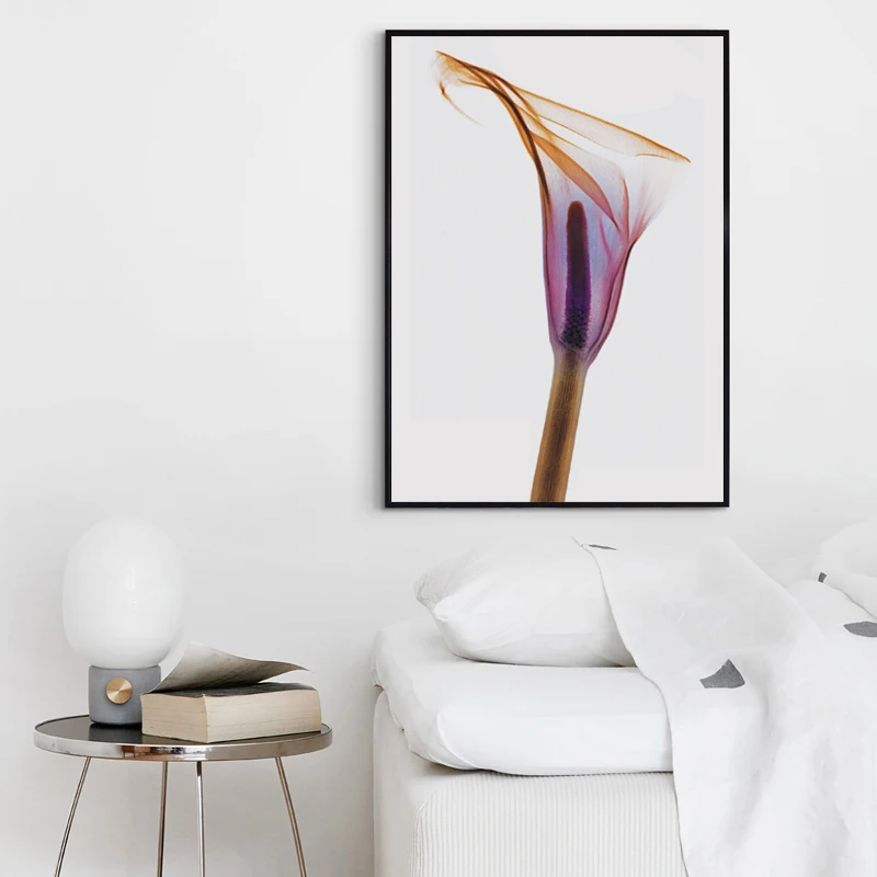 TB2kjcha71M.eBjSZFOXXc0rFXa_!!755793484