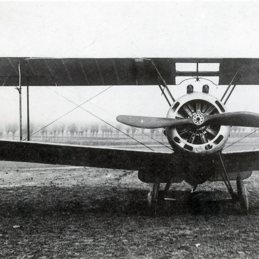 WWI  Sopwith Camel Fighter Plane Poster Print by Science Source (24 x 18)