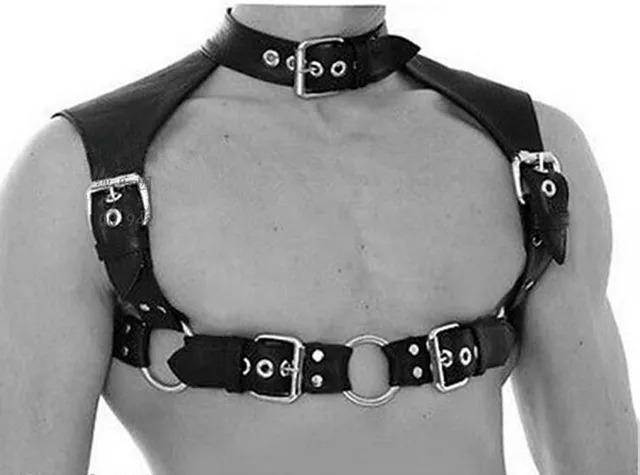 Gay leather toys Gay college wild parties