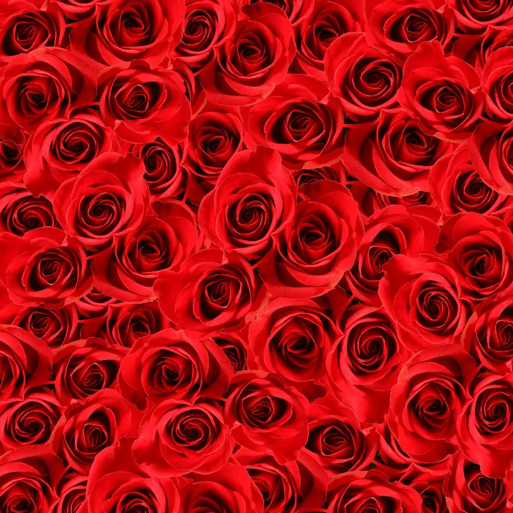 

6.5*10Ft Kate Heart-Love Rose Flowers Backdrops Vinilos Red Valentines Backgrounds Romantic Backdrops Thick Cloth Backdrops