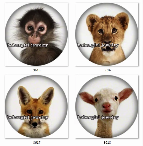 SN1358 Animal Bear snap button Jewelry Charm photo glass cabochon | Украшения и аксессуары