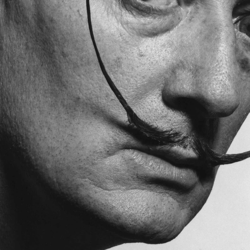 Salvador Dal&iacute; Philipe Halsman ACN -  -  - 