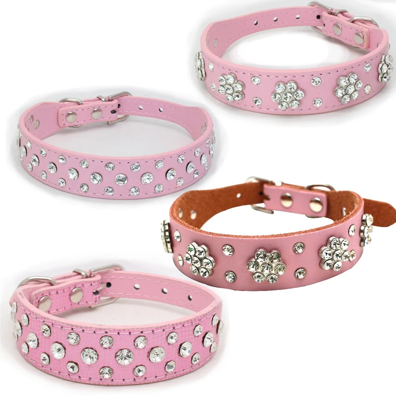 Dogs Collars 3