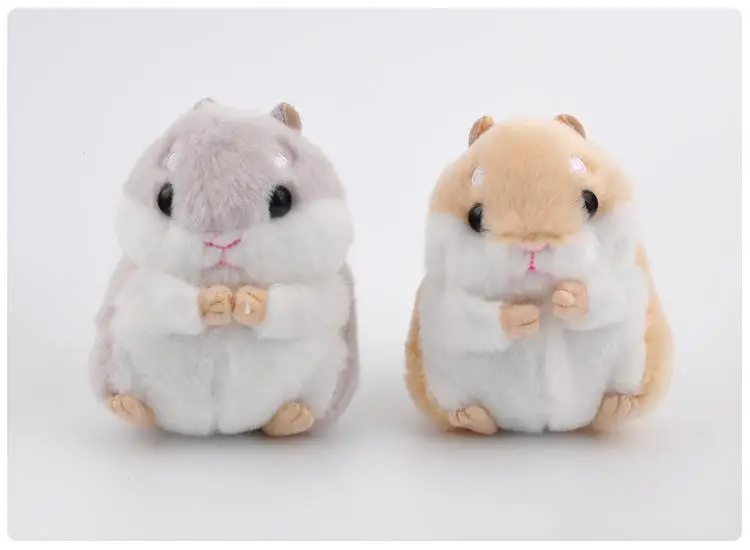 3709518543_1550161895
