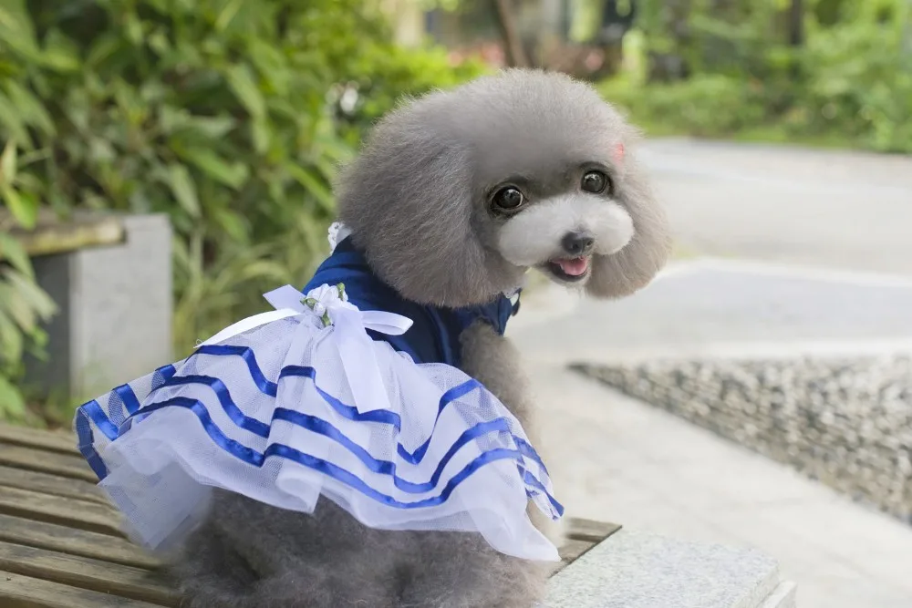 Новое милое летнее сатиновое платье для собак Почта Китая платье для собак