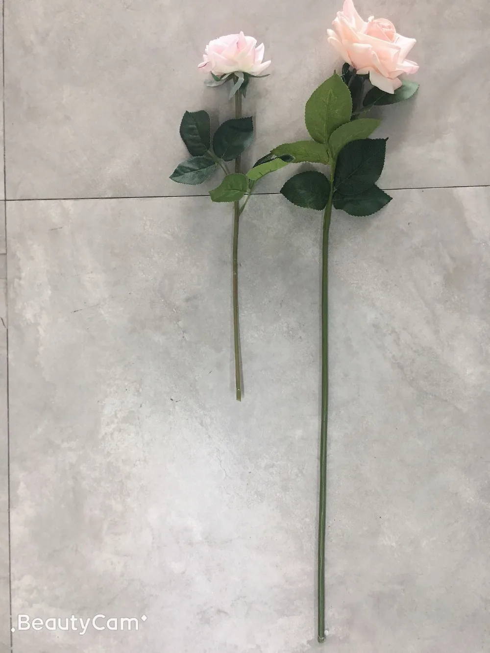 QQ图片20190612172631