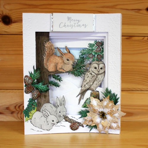 Woodland Walk - Elaine