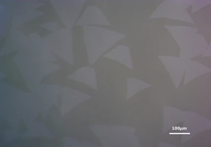WS2-flakes_