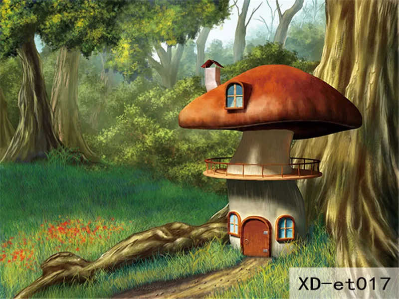 XD-et017 400x300cm