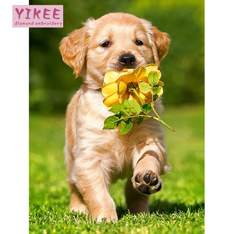 

YIKEE diamond painting new dogs Handmade Needlework DIY Diamond Embroidery Mosaic Rhinestone Picture h884