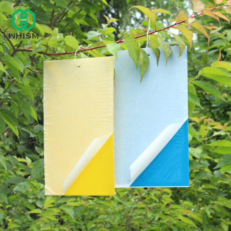 

WHISM Strong Flies Traps Bugs Sticky Board Catching Aphid Insects Killer Pest Control Whitefly Dual-sided Glue Stickers