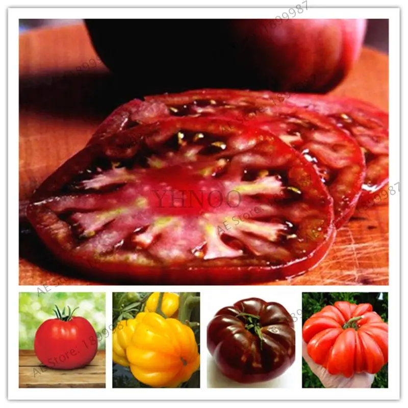 

Sale! 200Pcs Giant Tomato bonsai Organic Heirloom Vegetables Perennial Non-GMO Plant Pot For Home Garden Planting