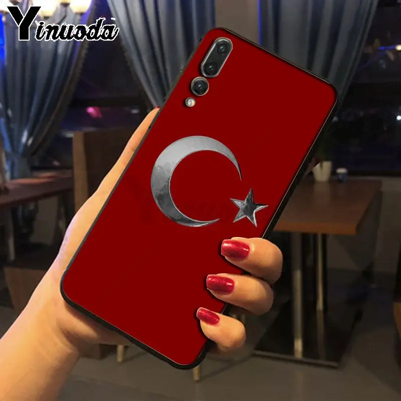 Flag of Istanbul Turkey wolf