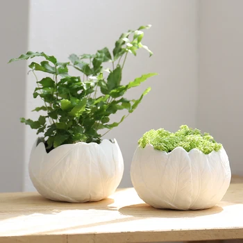 

Nordic Ceramic Flower Pots Creative White Feathers Embossed Succulents Pots Garden Home Decoration