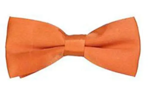 Новая детская одежда для девочек и мальчиков, для малышей, с бантом, Предварительно Связанные Свадебный галстук-бабочка, простой галстук b066 - Цвет: as  pic