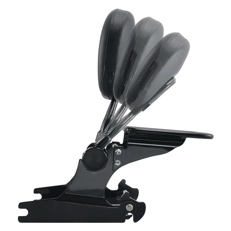 

RUOCH Passenger Backrest Adjustable Detachable Sissy Bar for Harley Davidson Softail Night Train FXSTB Custom Standard 2006-up