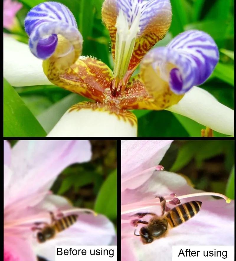 IP7G0748_11