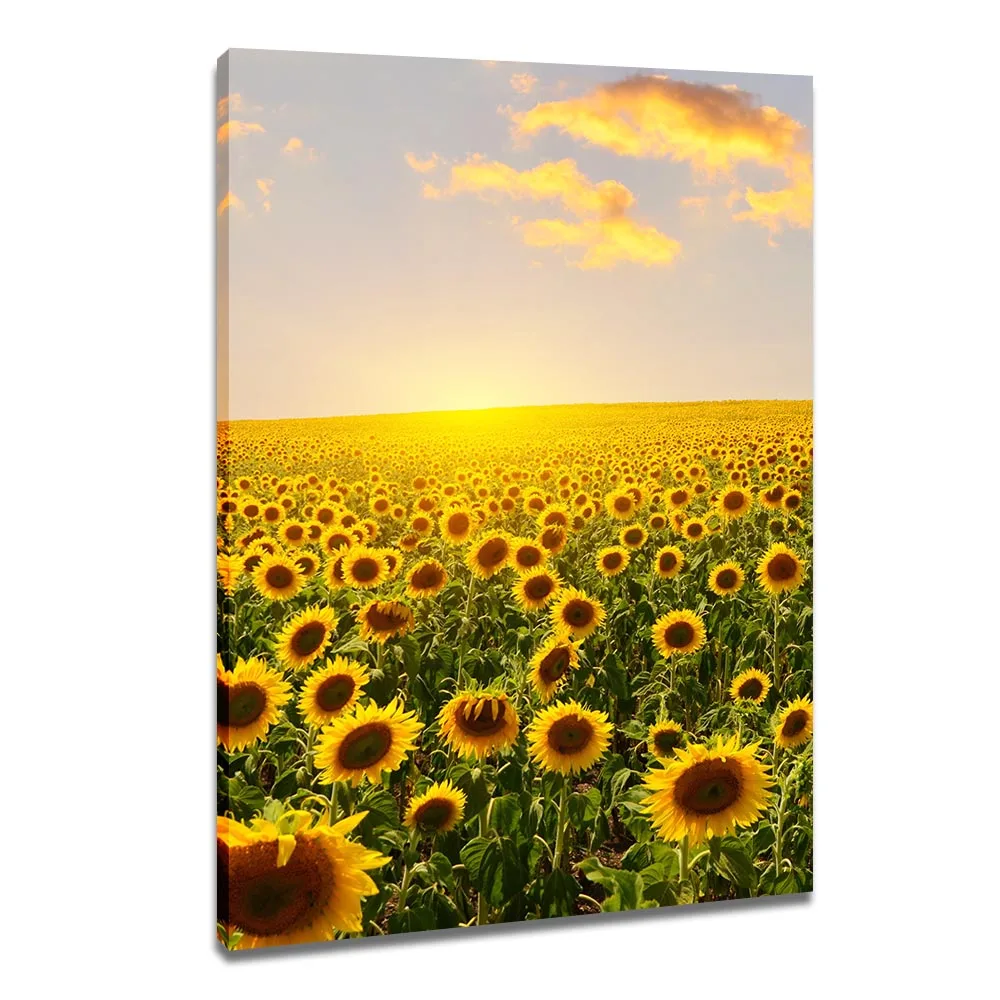 1 Pcs Sunflower Field Canvas Print Painting Seascape With Sunset