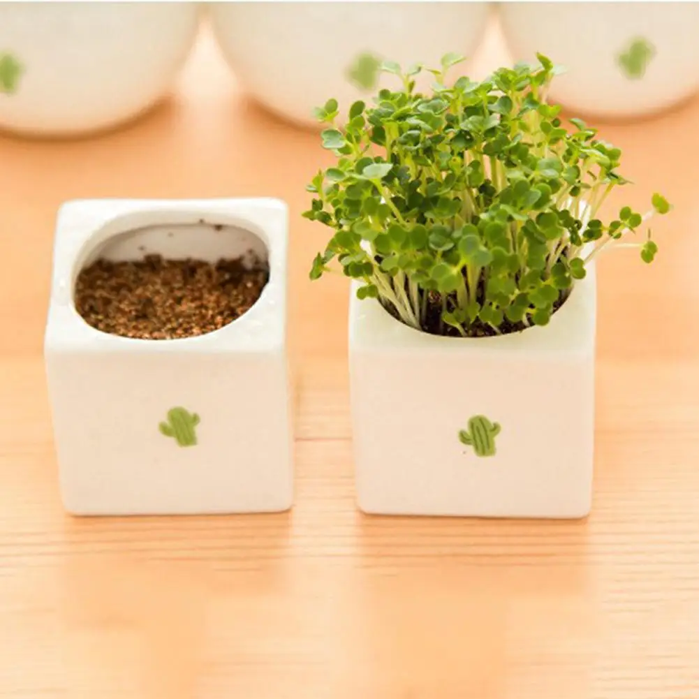 Groot Мини Современные горшки для влагозапасающего растения маленькие керамические контейнеры, горшки для садовых цветов macetero - Цвет: Square