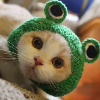 

Cute Frog Shape Pet Cat Dog Party Costume Outfits For Bichon Chihuahua Winter Warm Dog Funny Cat Pet Hat Cap