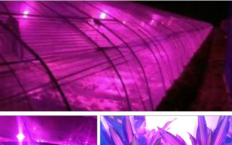 COB led plant grow light (11)