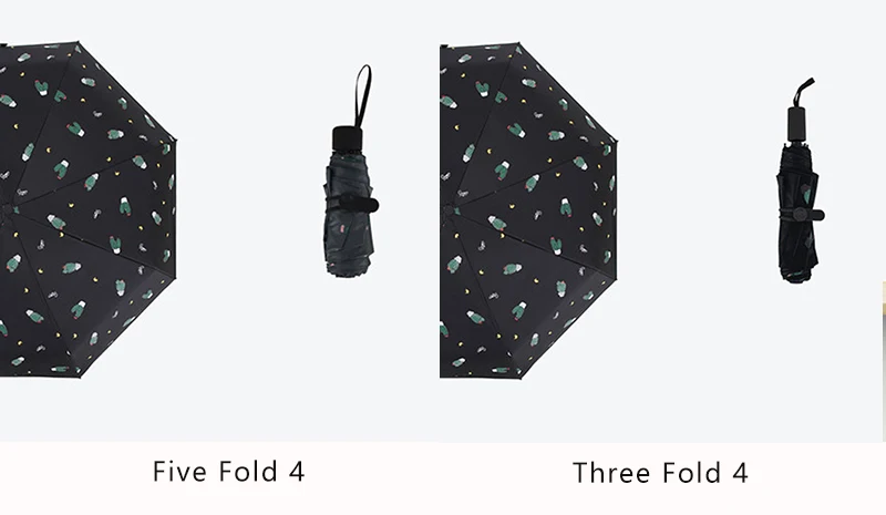 Transparent Umbrella (10)