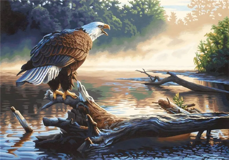 Douce vie bricolage 3D diamant peinture aigle à côté de la mer ménages