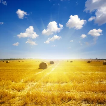 

Laeacco Farm Field Autumn Hay Rolls Blue Sky Scenic Photography Backgrounds Customized Photographic Backdrops For Photo Studio