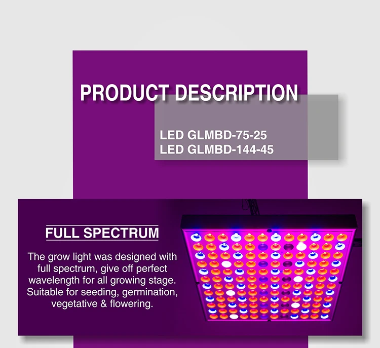 GLMBD-+_03