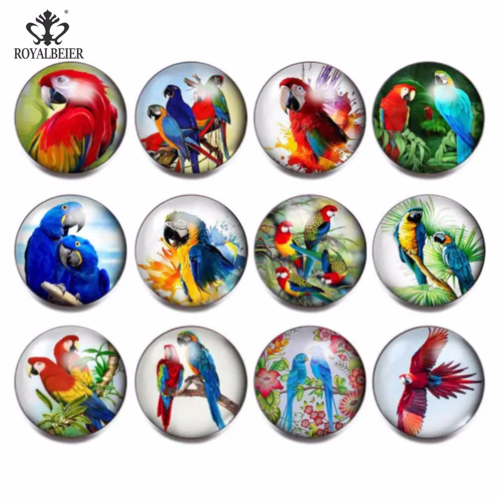 

RoyalBeier 12pcs/lot Parrot Theme Glass Charms Snap Button Jewelry 18mm For 20mm Snaps Bracelet Snap Jewelry KZ0831