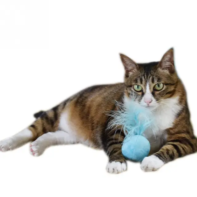 1 Pc Colore Casuale 5 centimetri Divertente Pet Gatto Peluche Catnip Sfera Con C 1 Pc Colore Casuale 5 centimetri Divertente Pet Gatto Peluche Catnip Sfera Con C