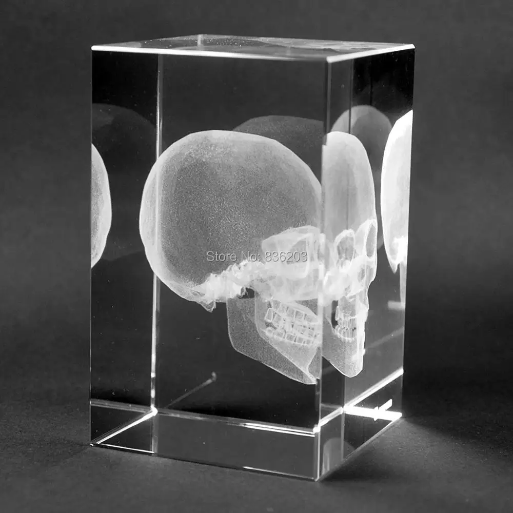 3D лазерный человеческого сердца скелет анатомический модель с украшением в виде кристаллов череп презервативы анатомический Скелет анатомический мозг медицинский манекен