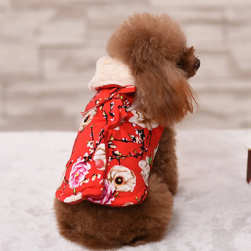 Bigeyedog китайская Новогодняя одежда для собак зимняя одежда для домашних животных в китайском стиле Одежда для щенков пальто куртка Одежда Пудель наряд - Цвет: Красный