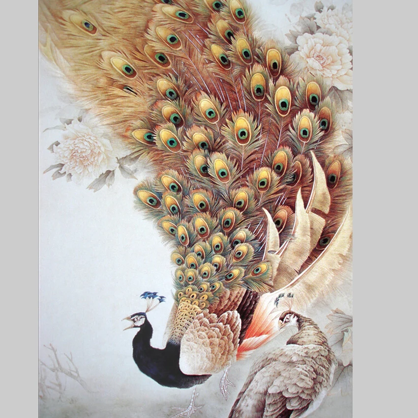 

Cuadros Home Decor Peacock Photos Canvas Painting wall pictures for living room picture paintings modern wall art No Frames
