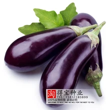 

2018 Real Very Easy Small Semillas Home Jardin Sale Top Fashion Summer Fruits Vegetables Tomatoes Long Japanese Eggplant 100pcs